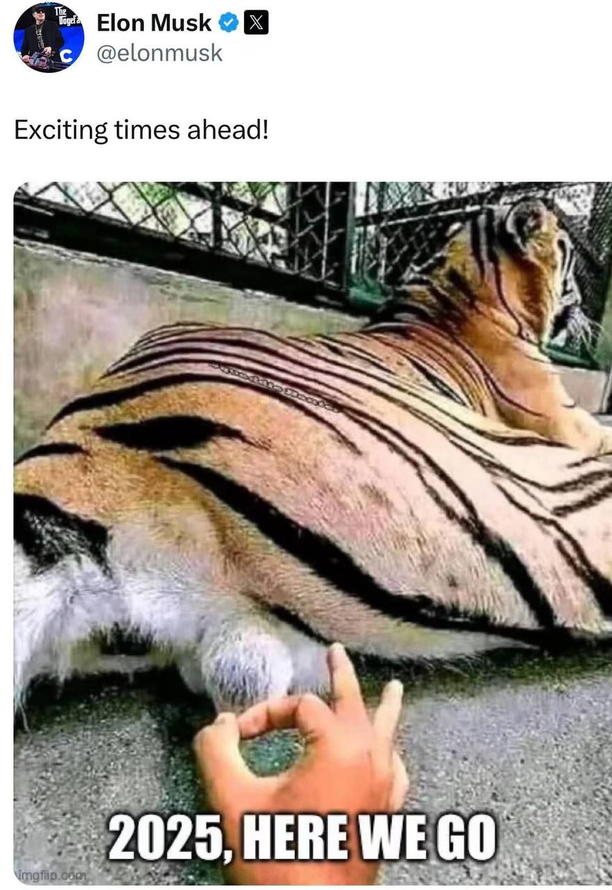 Supreme Tiger - BNBTiger Community Art